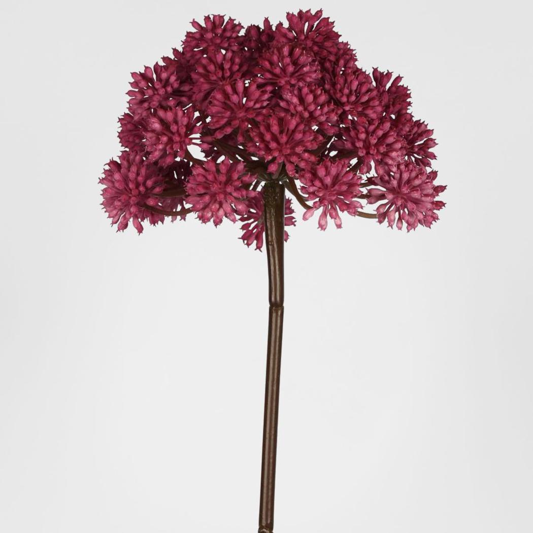 Allium 98cm Fuschia