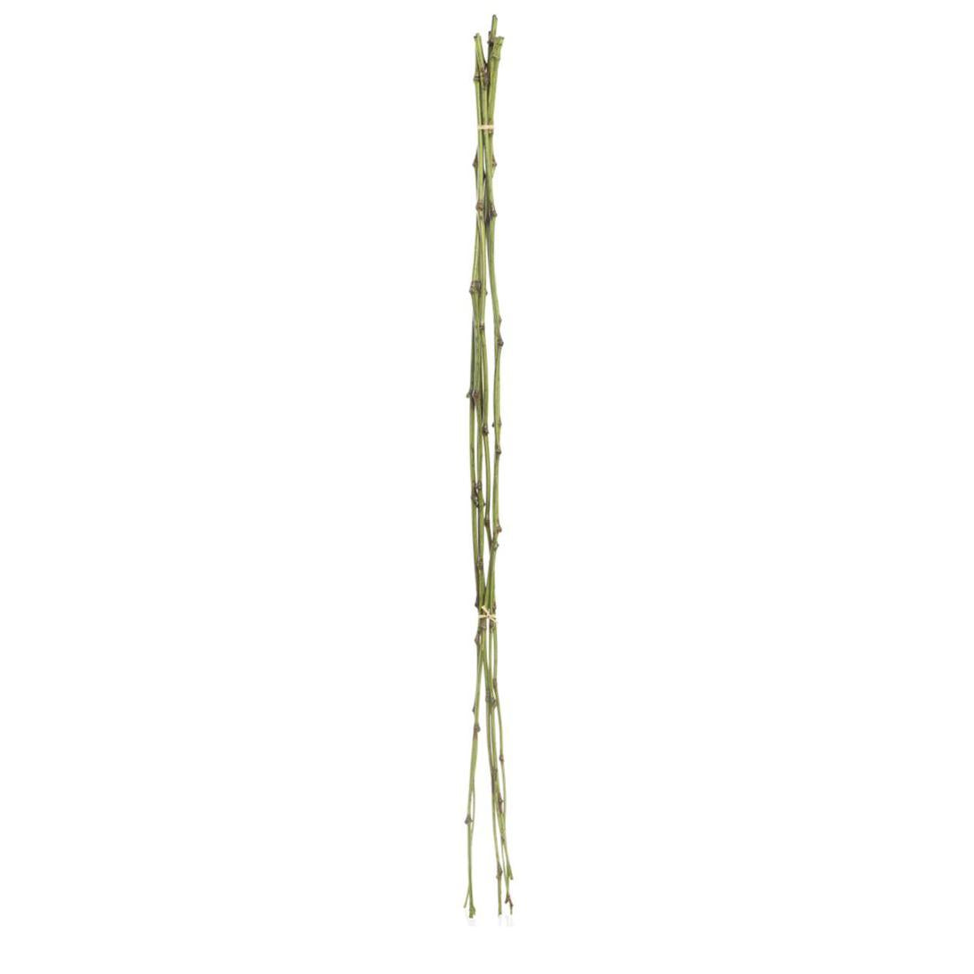 Bamboo Twig Bundle 1m 6 pcs
