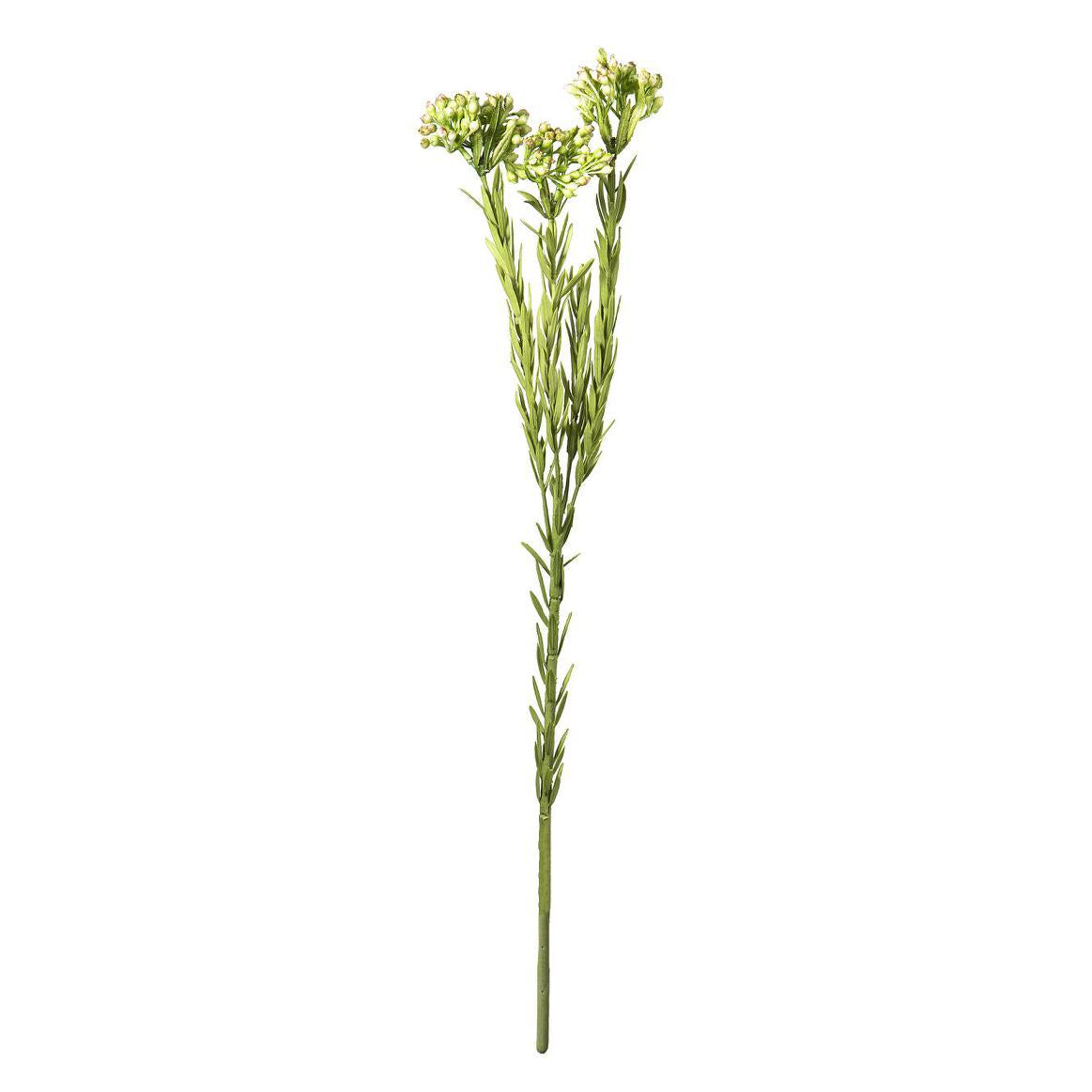 Berries Spray 56cm Green 6 pcs