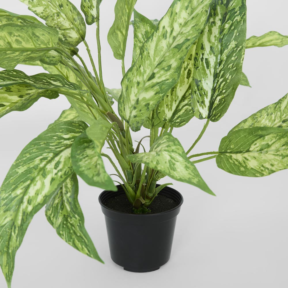 Dracaena Plant Real Touch in Pot 39cm