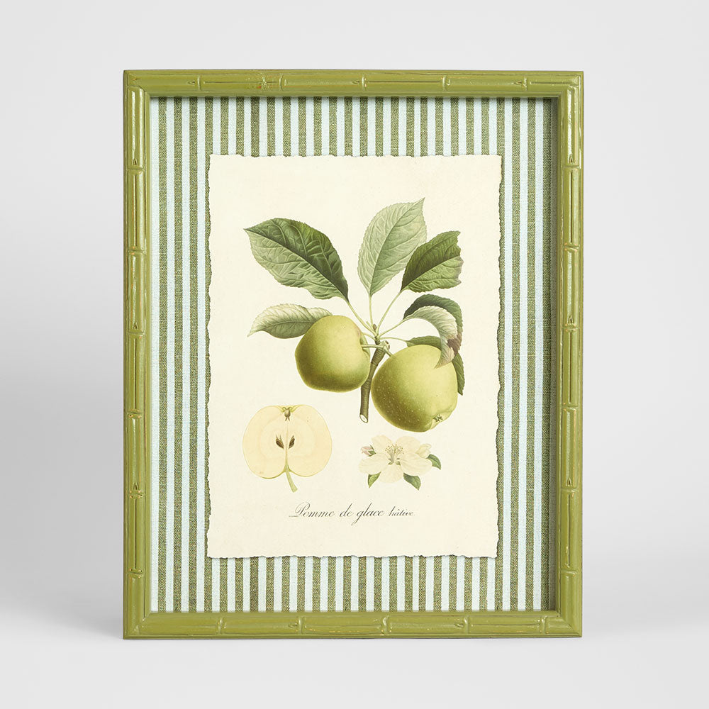 Apple Study 1 Wall Art 34x42cm