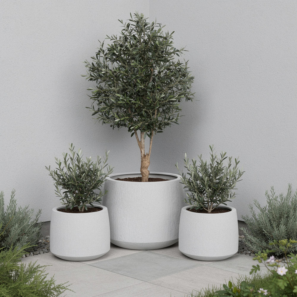 Vita Planter White