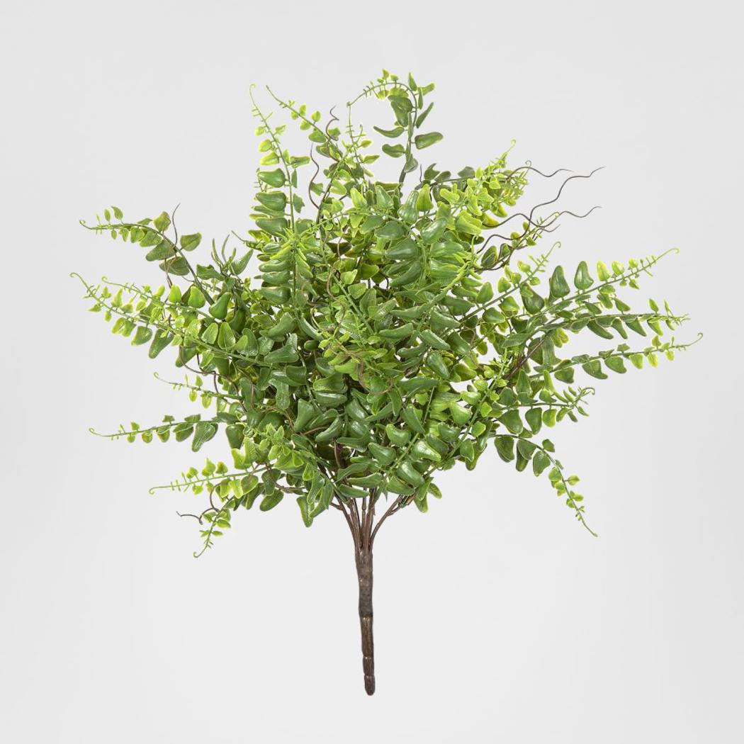 Fern Bush 45cm