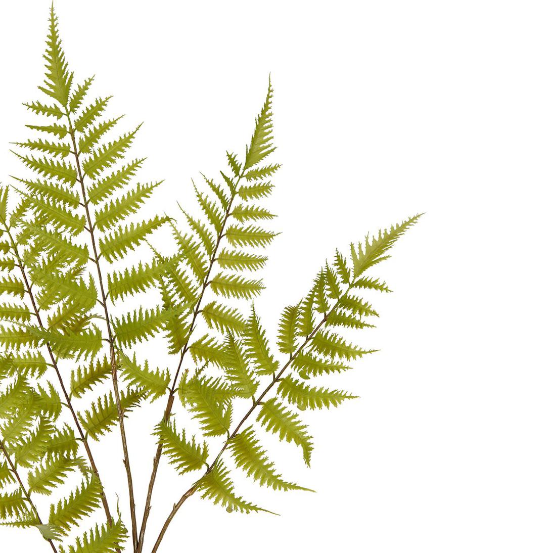Greenspray Fern Stem 105cm 6 pcs