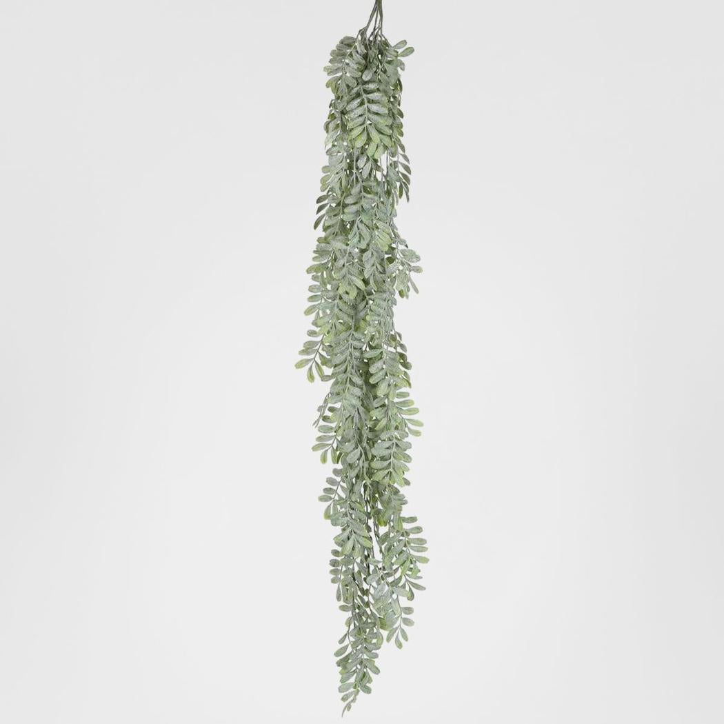 Pepper Fern Hanging Vine 115CM