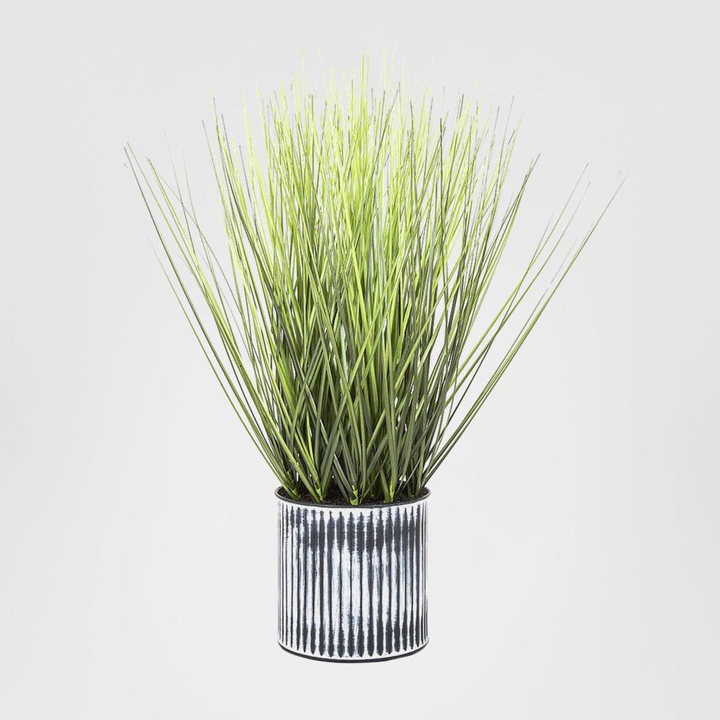 Grass in Pot 48cm