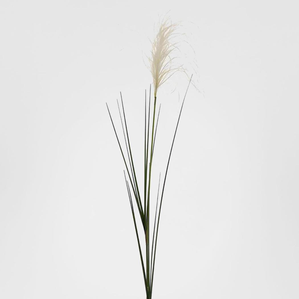 Reed Grass Spray 74cm 6 pcs