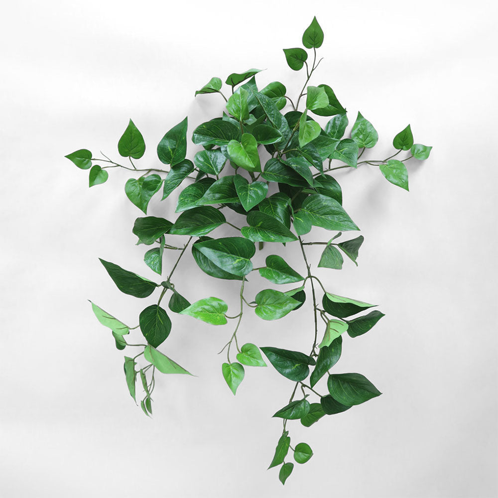 Flame Retardant Hanging Pothos Bush UV Coated