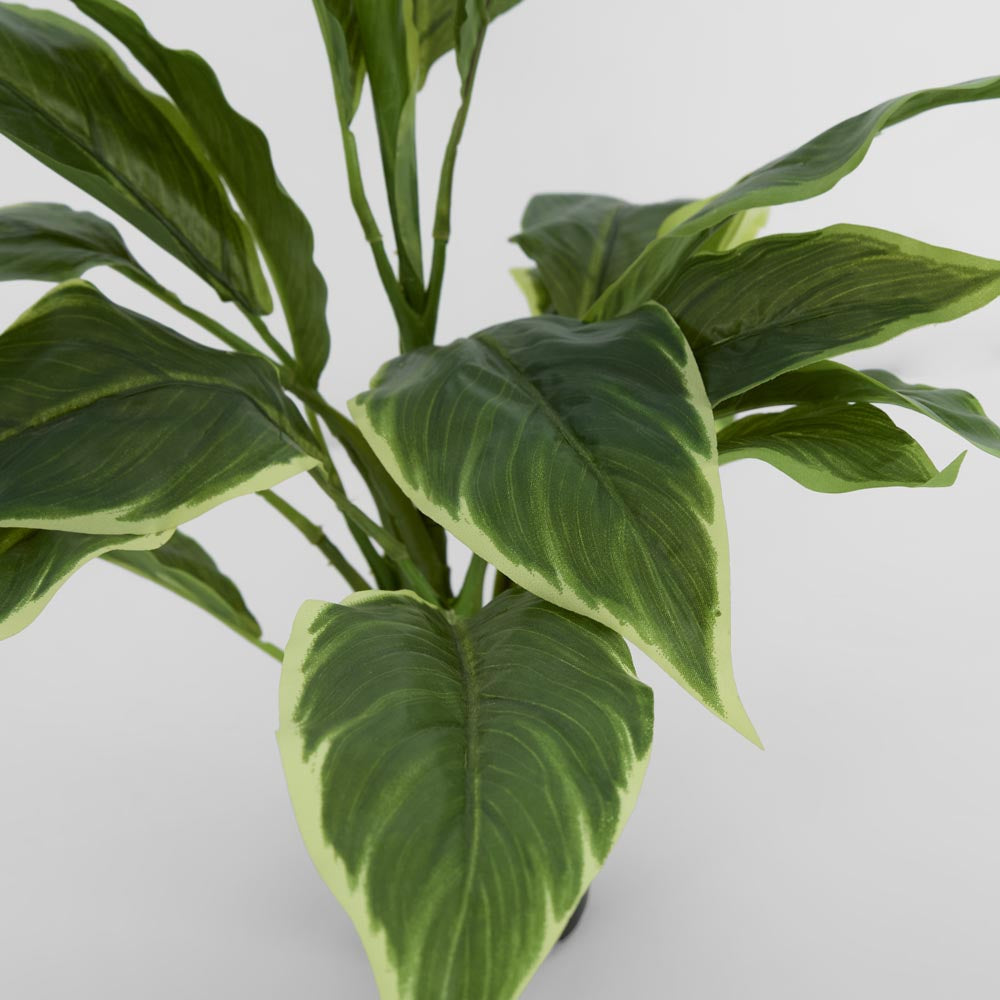 Hosta Plant Potted Real Touch 42cm