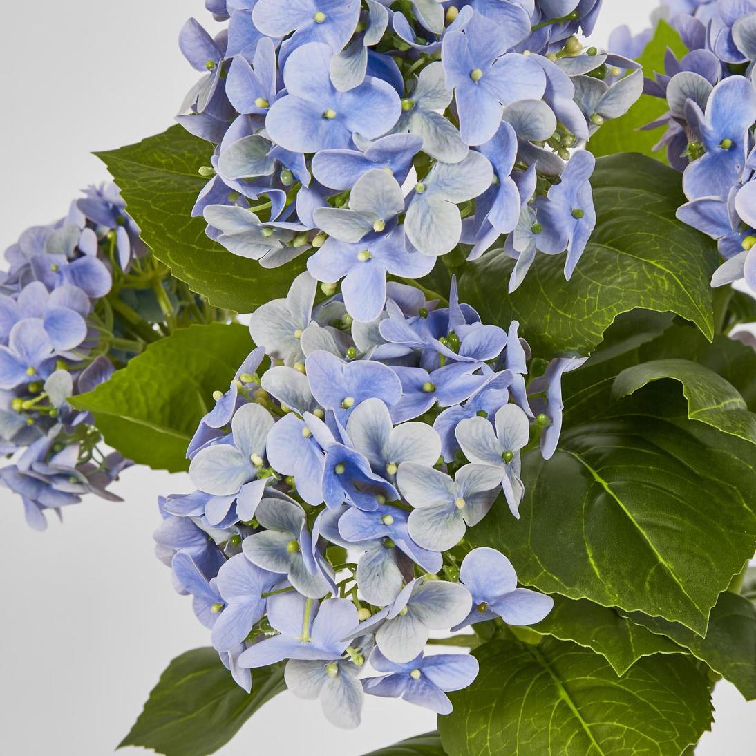 Hydrangea Potted Real Touch Blue 53cm
