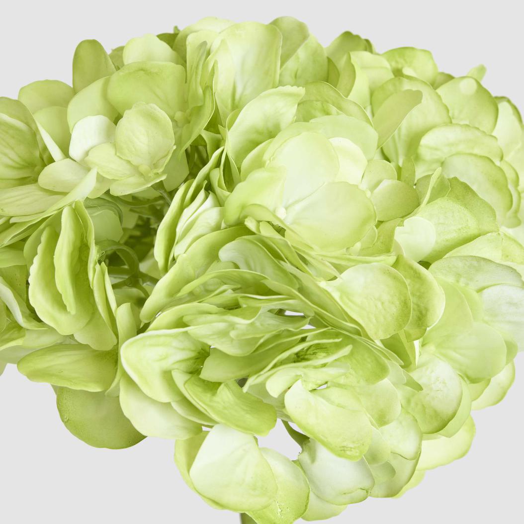 Hydrangea Soft Touch Stem 75cm Green