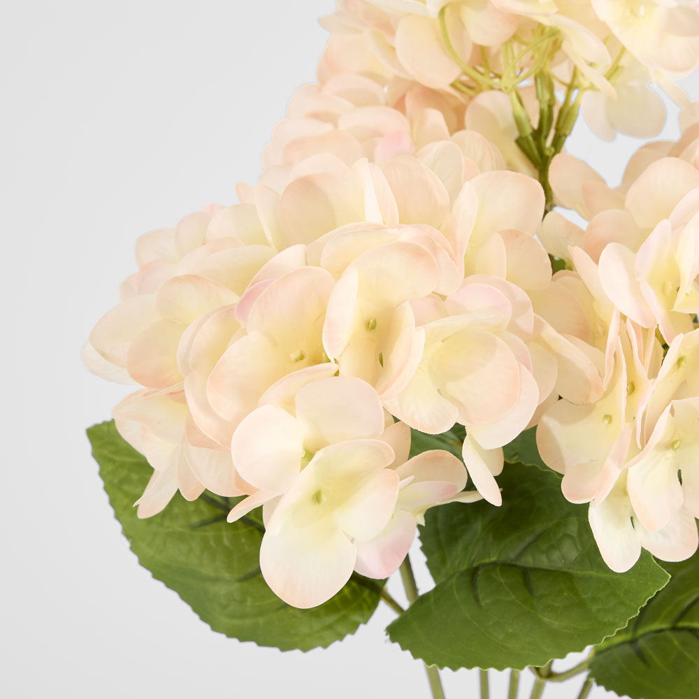 Hydrangea Fresh Touch Bunch Light Pink