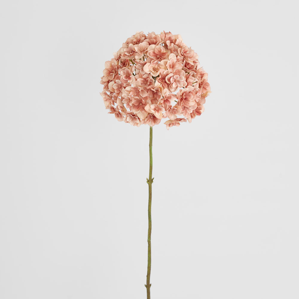Hydrangea Coral 74cm