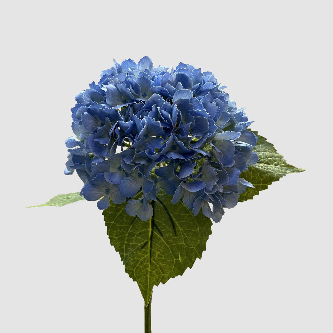 Hydrangea Real Touch Blue 63cm