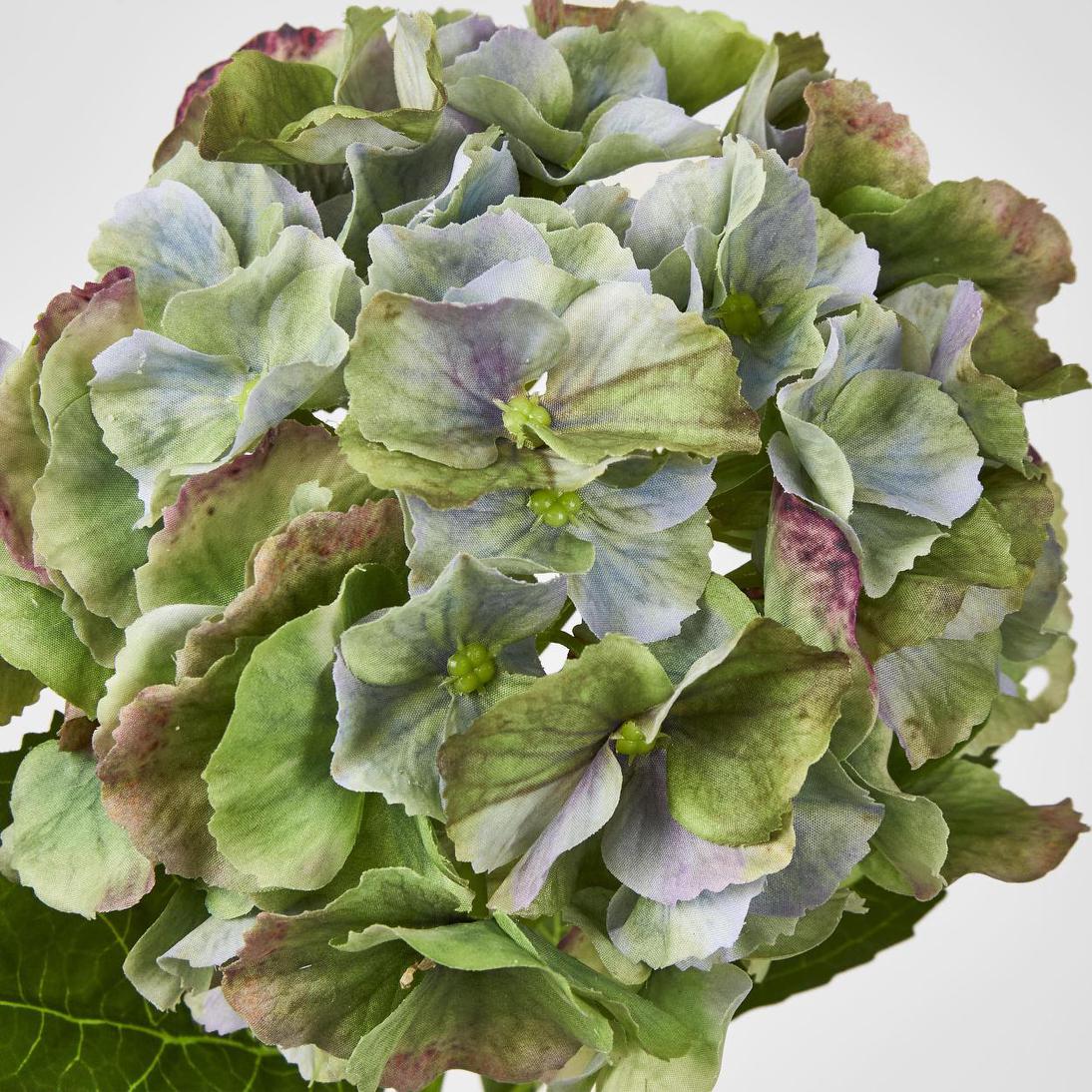 Hydrangea Susan Soft Touch Antique Green 52cm 6 pcs