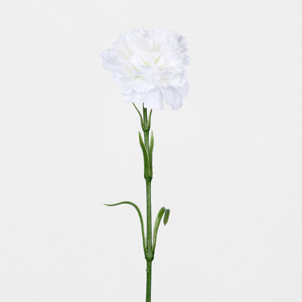 Real Touch Carnation Stem White 18 pcs
