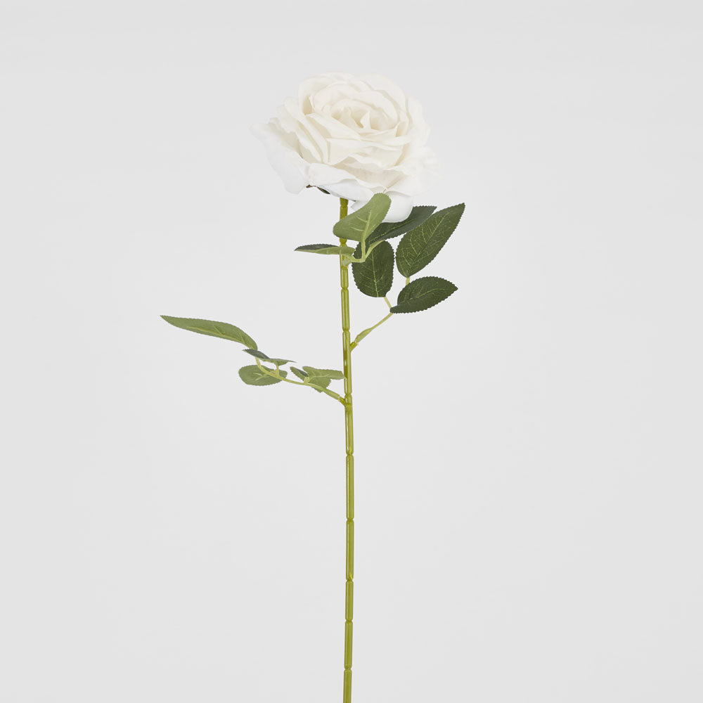 Garden Rose Stem White 12 pcs