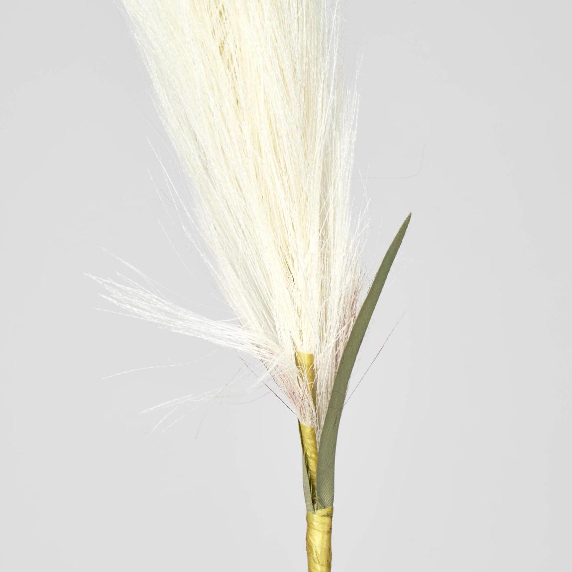 Pampas 3 pcs