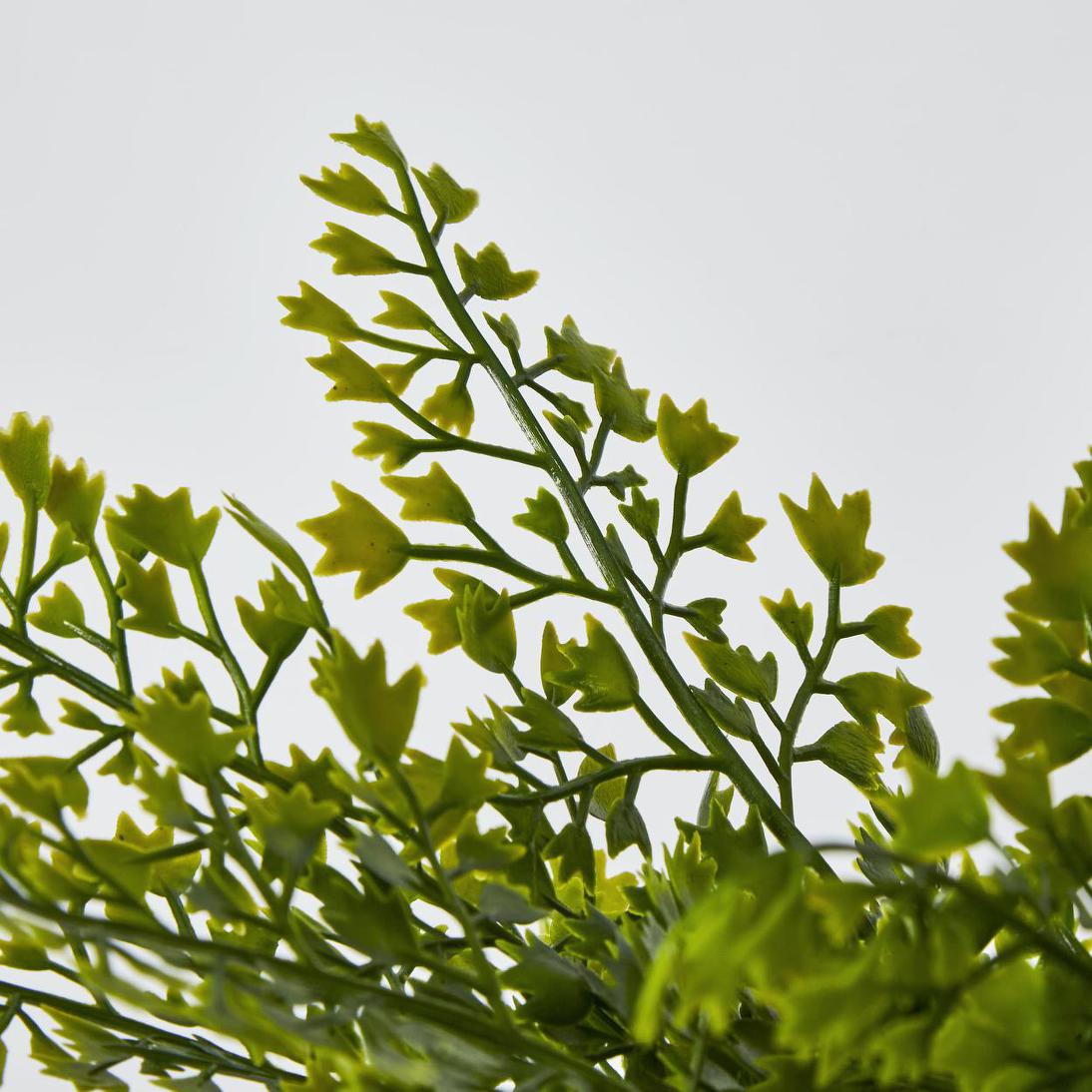 Maidenhair Fern Bush Green 2 pcs