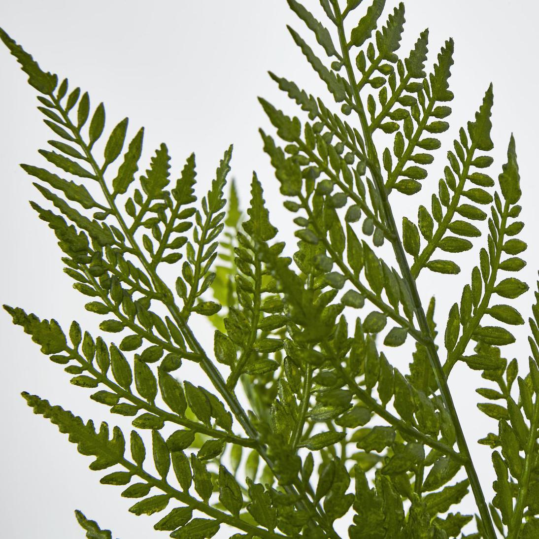 Fern Bush Green 2 pcs