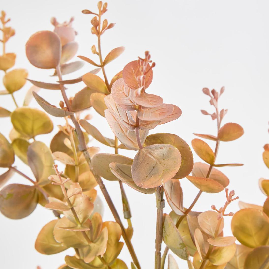 Eucalyptus?Bush Yellow 12 pcs