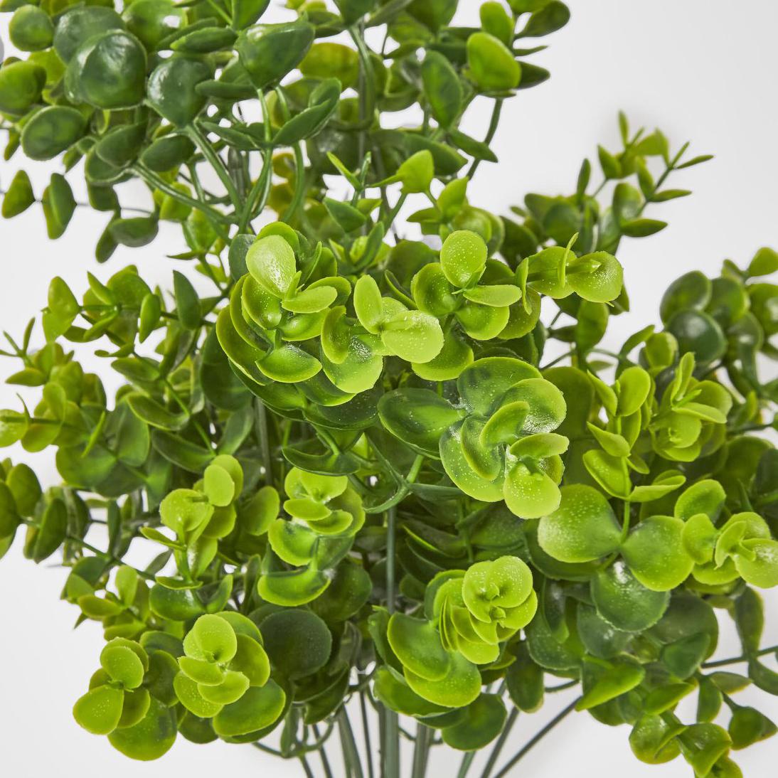Mini Baby Eucalyptus Bush Green 12 pcs
