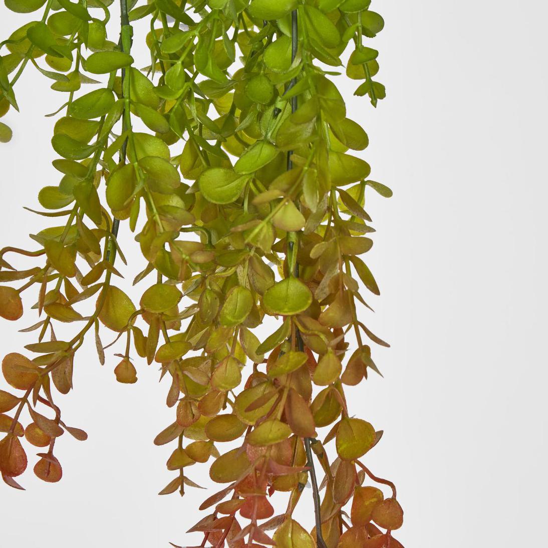 Hanging Eucalyptus Green Red 12 pcs
