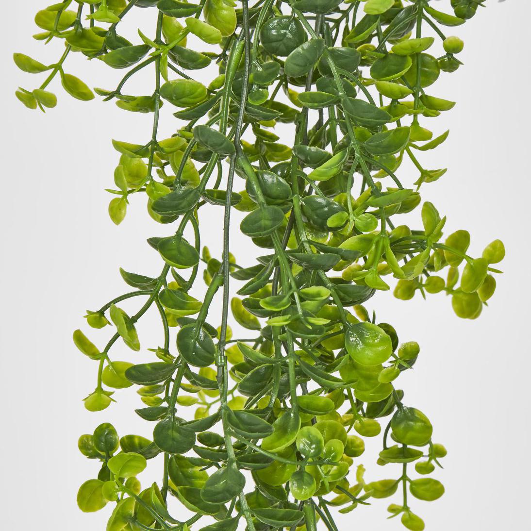 Hanging Buxus Greenery 12 pcs