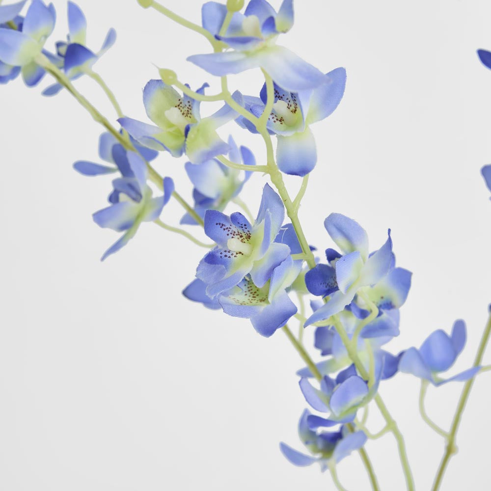 Dendrobium Spray Blue 6 pcs