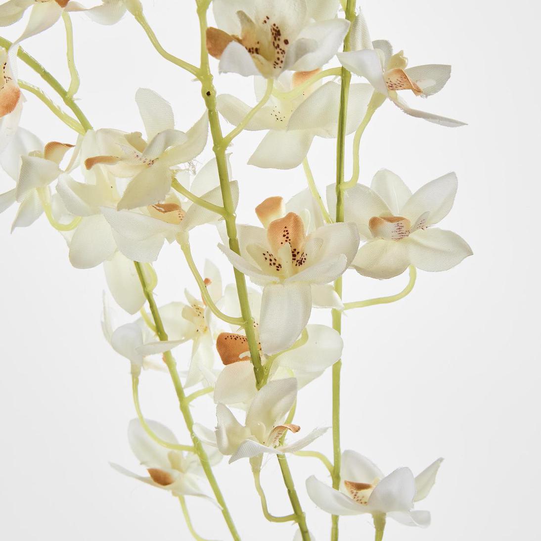 Dendrobium Spray White 6 pcs