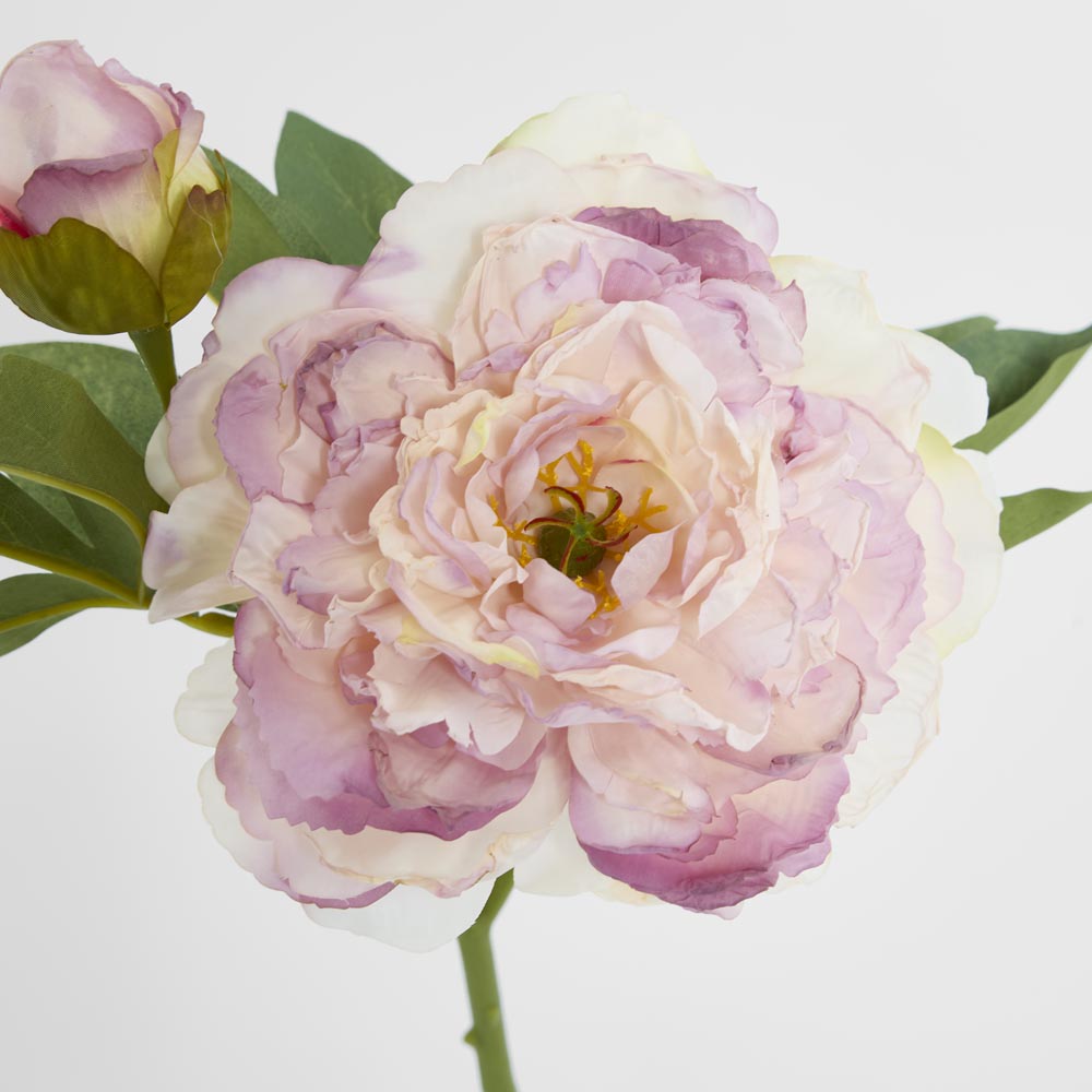 Peony Stem With Bud 48cm Light Pink 18 pcs
