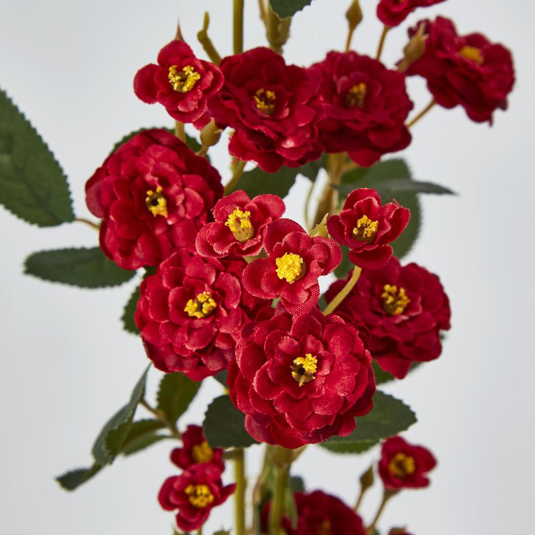 Burma Rose Spray Red 6 pcs