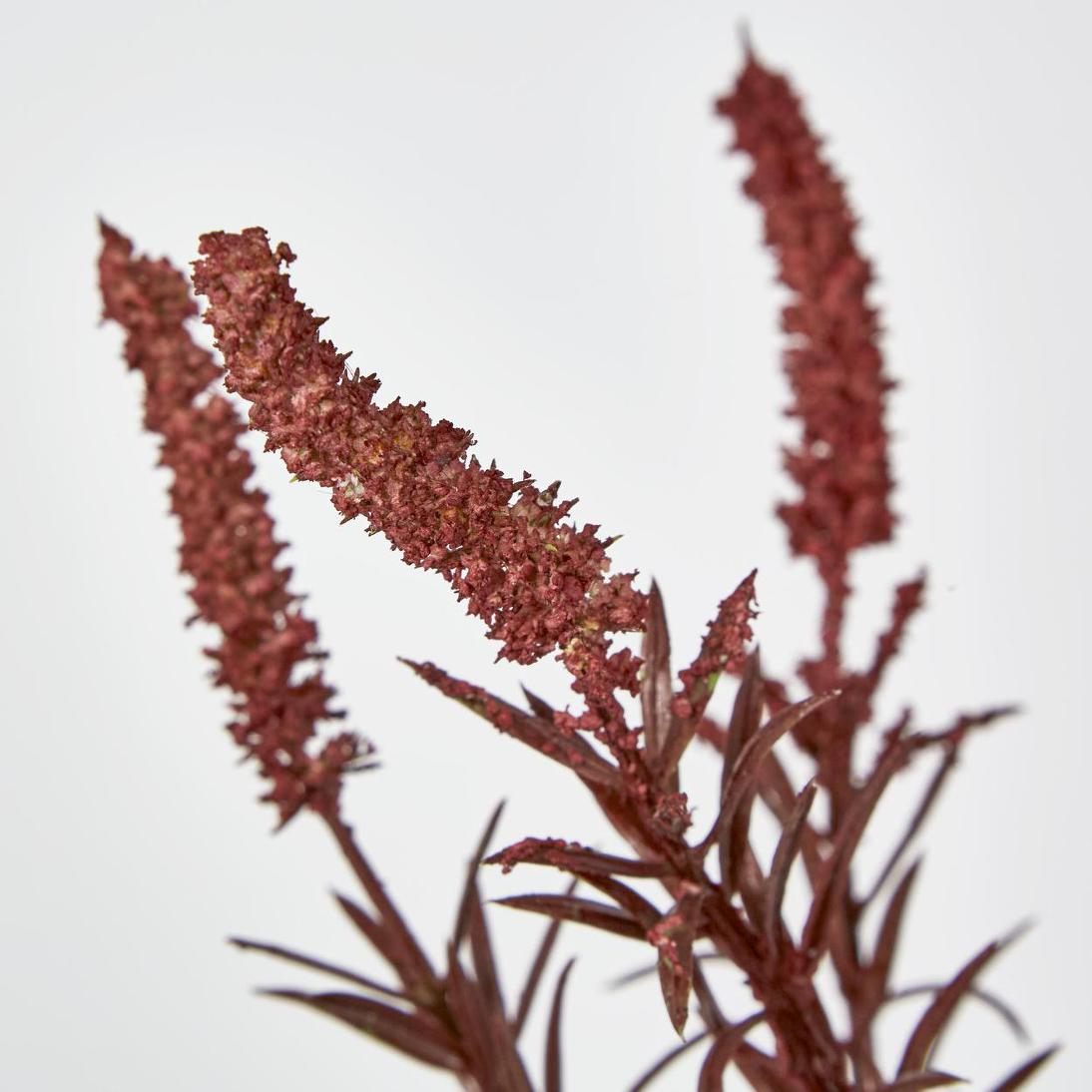 Amaranthus Spray Dark Pink 3 pcs