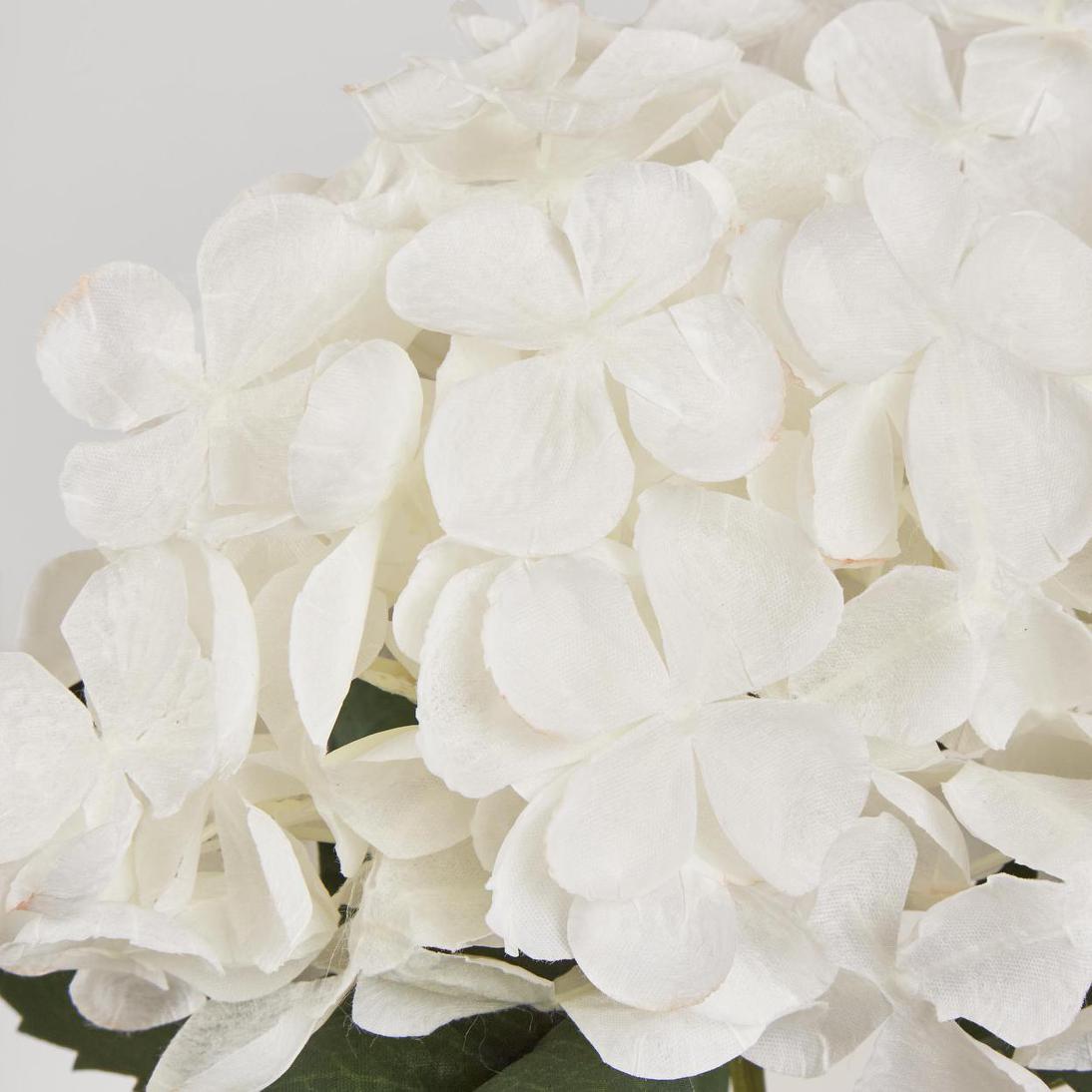 Hydrangea 62cm White 6 pcs