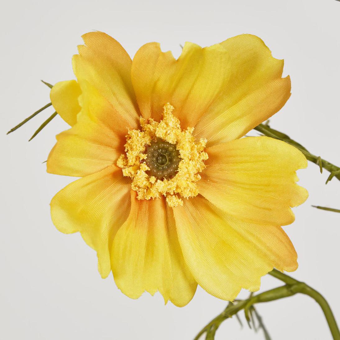 Cosmos Spray 64cm Yellow 12 pcs