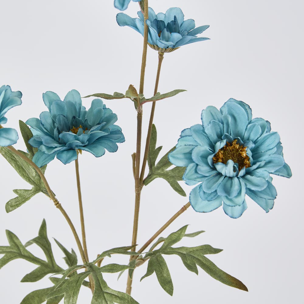 Daisy Spray Blue 75cm 12 pcs