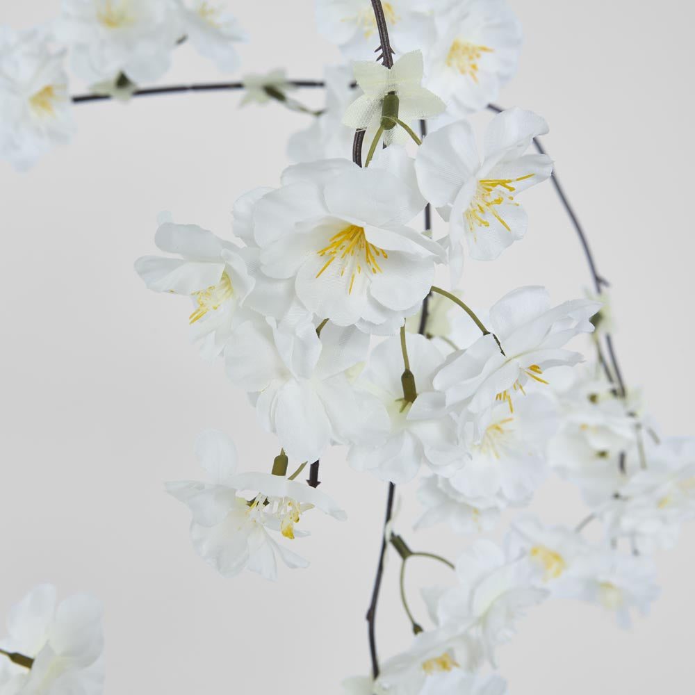 Trailing Cherry Blossom Stem White 6 pcs