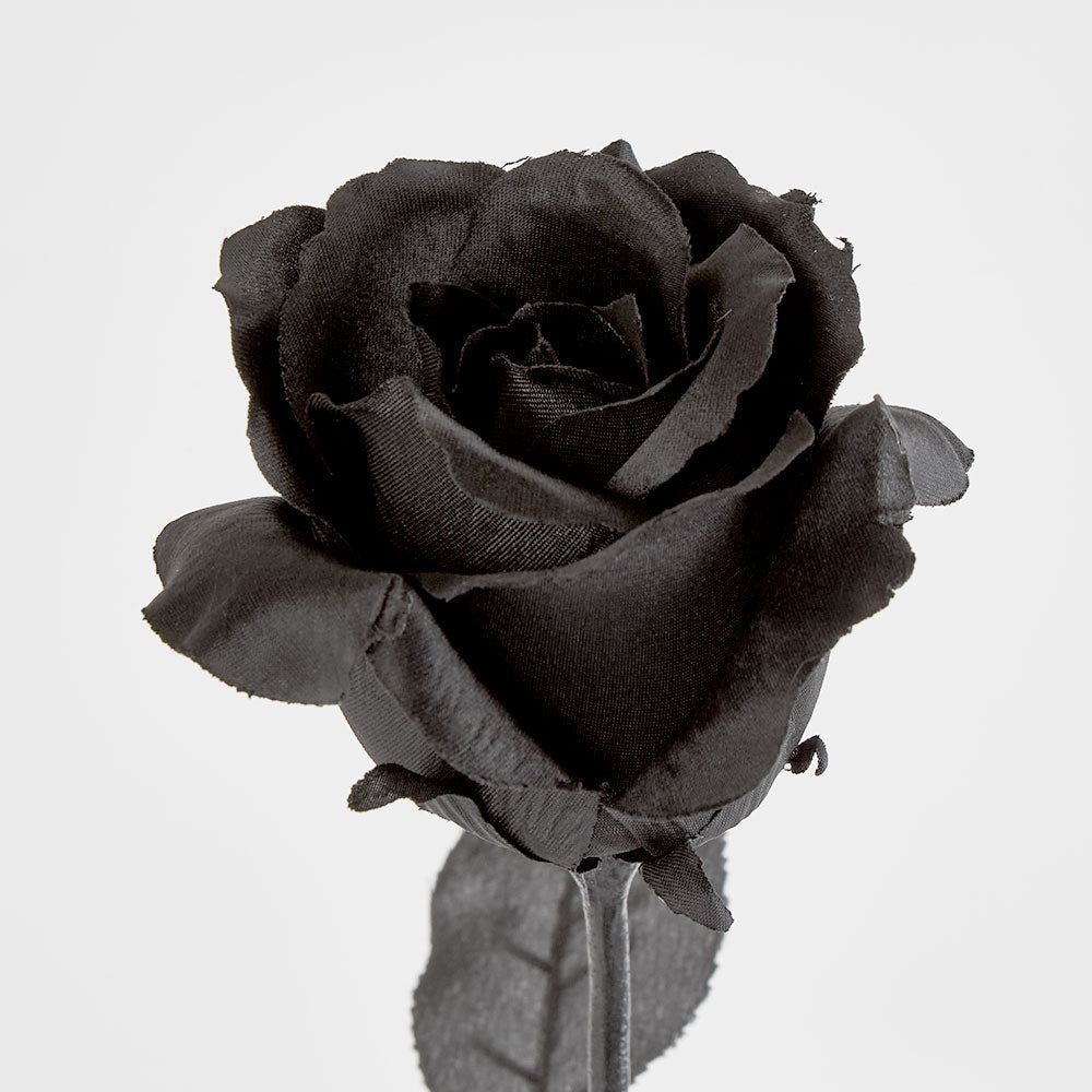 Long Stem Rose Black 12 pcs