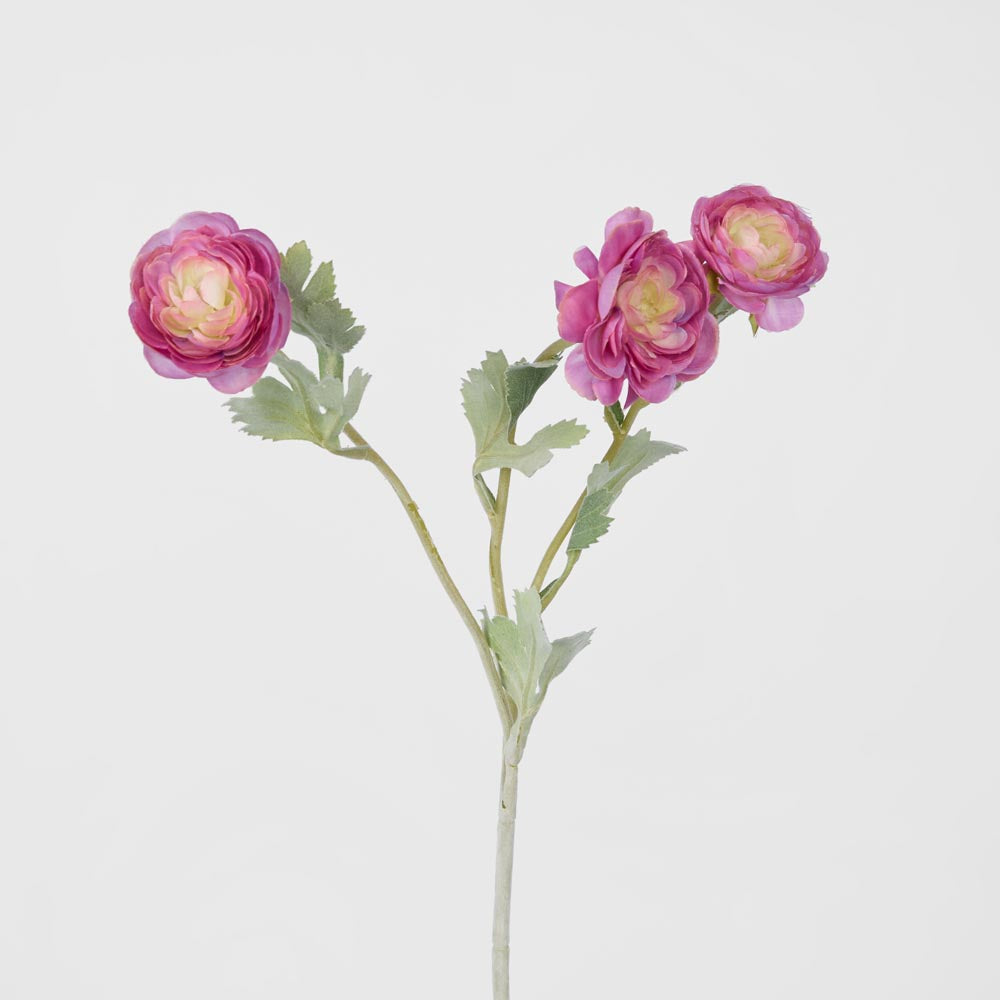 Ranunculus Stem With 3 Heads Pink 12 pcs