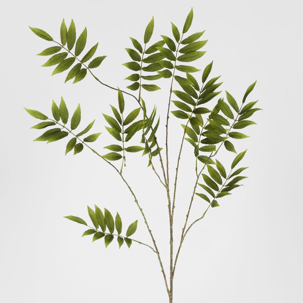 Sorbus Leaf Spray 159cm Green