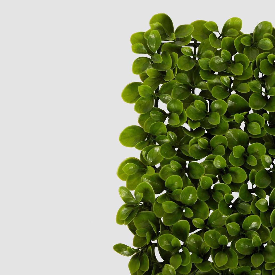 Greenery Garden UV Coated Outdoor Screen Mat