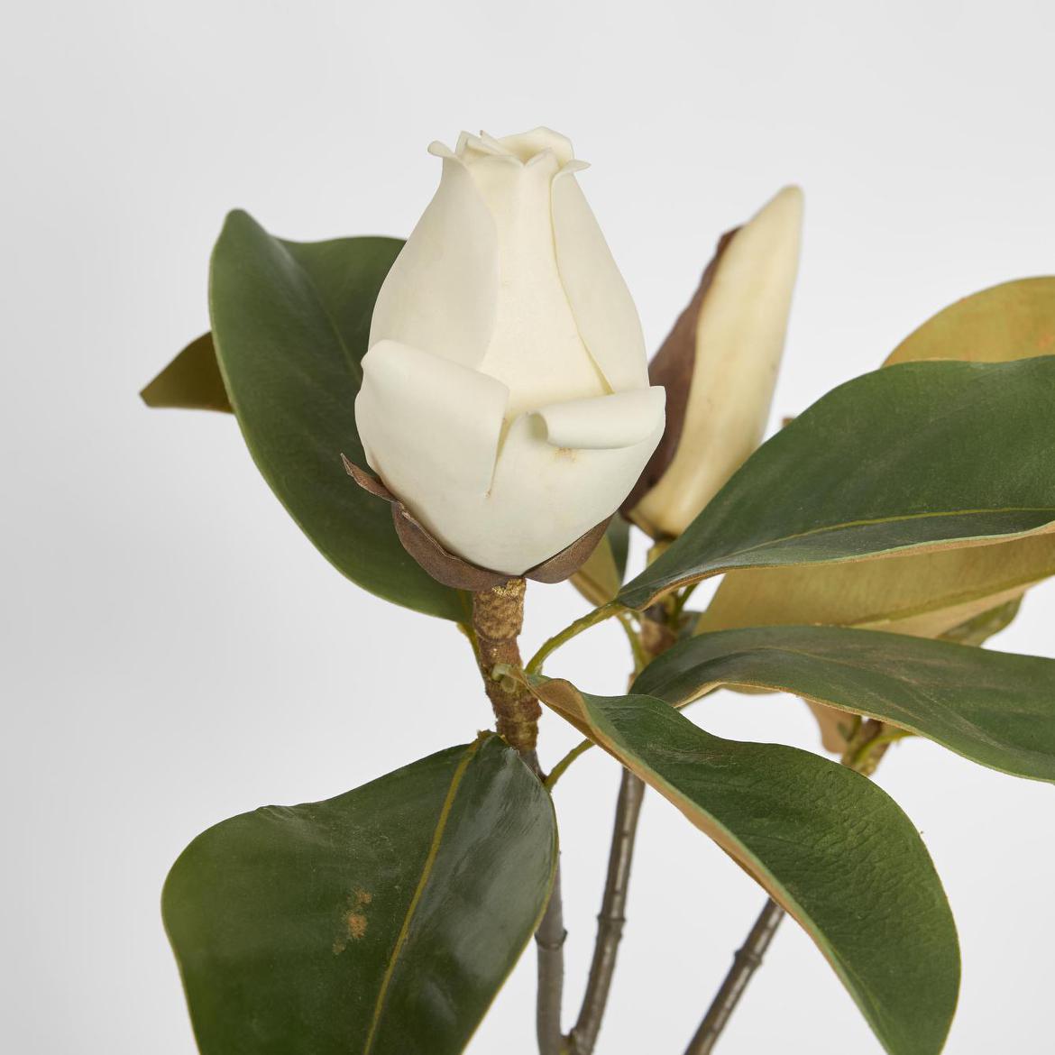 Magnolia Bud 60cm White