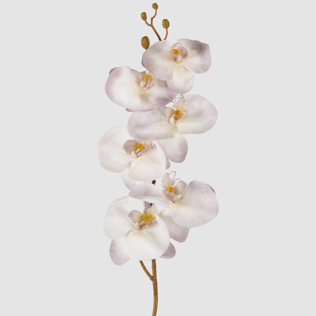 Orchid Stem 80cm Lavender 6 pcs