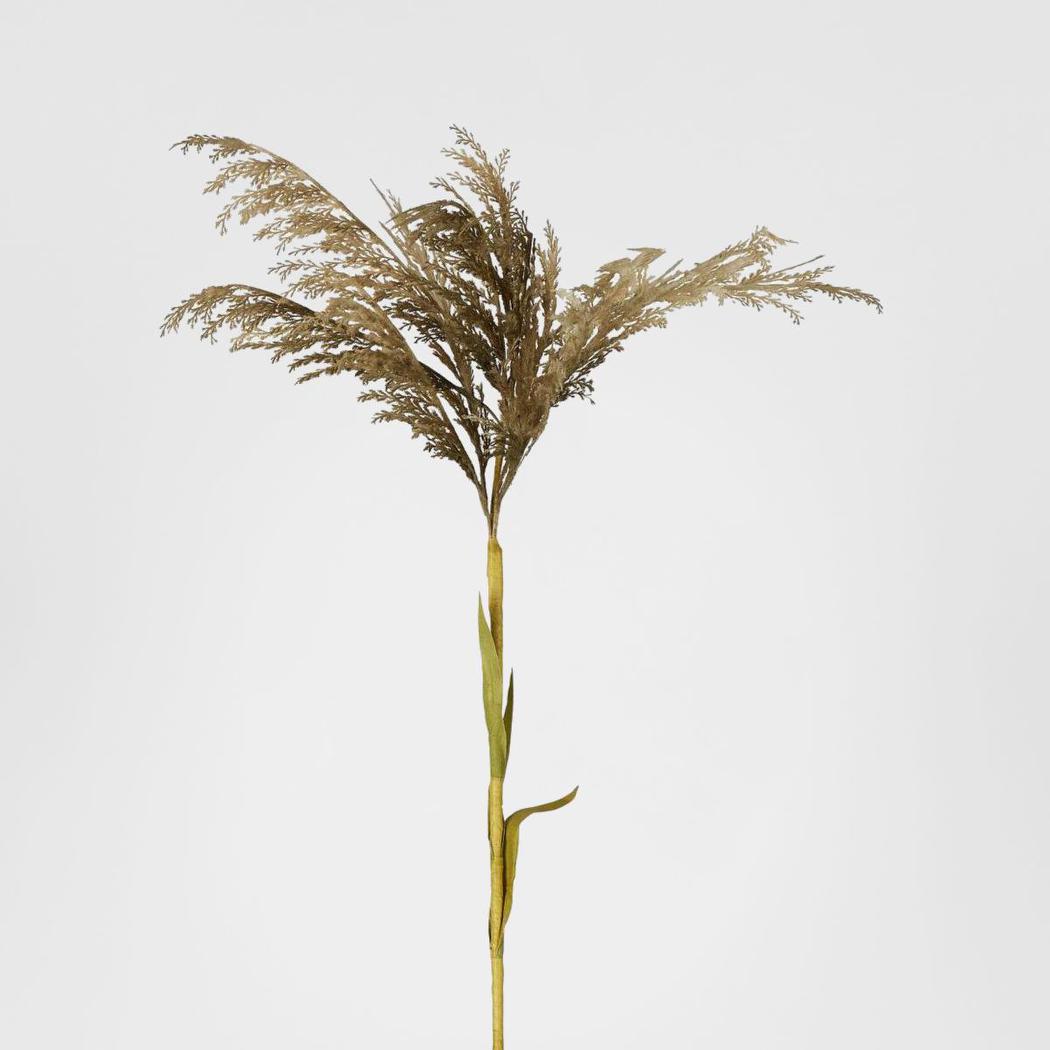 Grey Pampas Spray Stem with Leaves 6 pcs