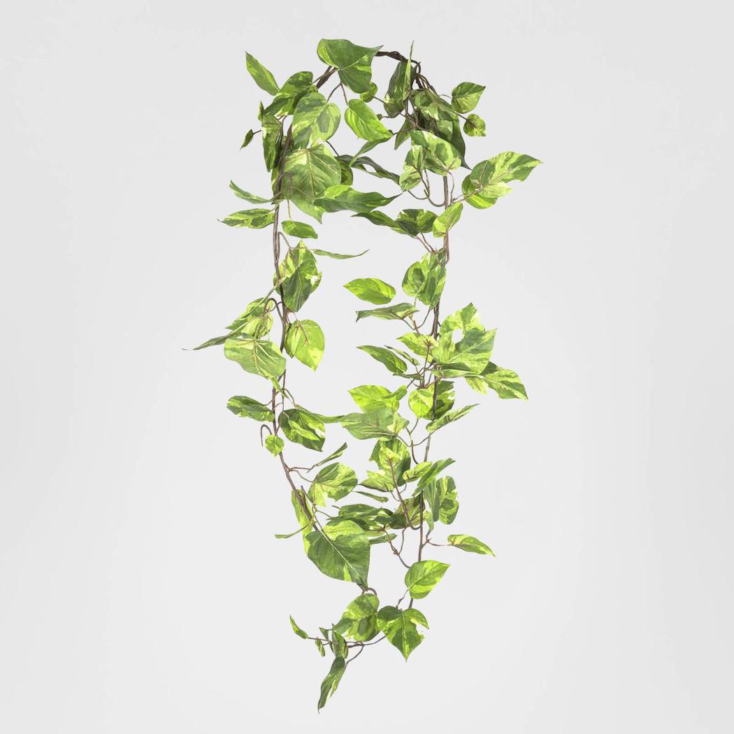 Pothos Garland 1.6m 3 pcs