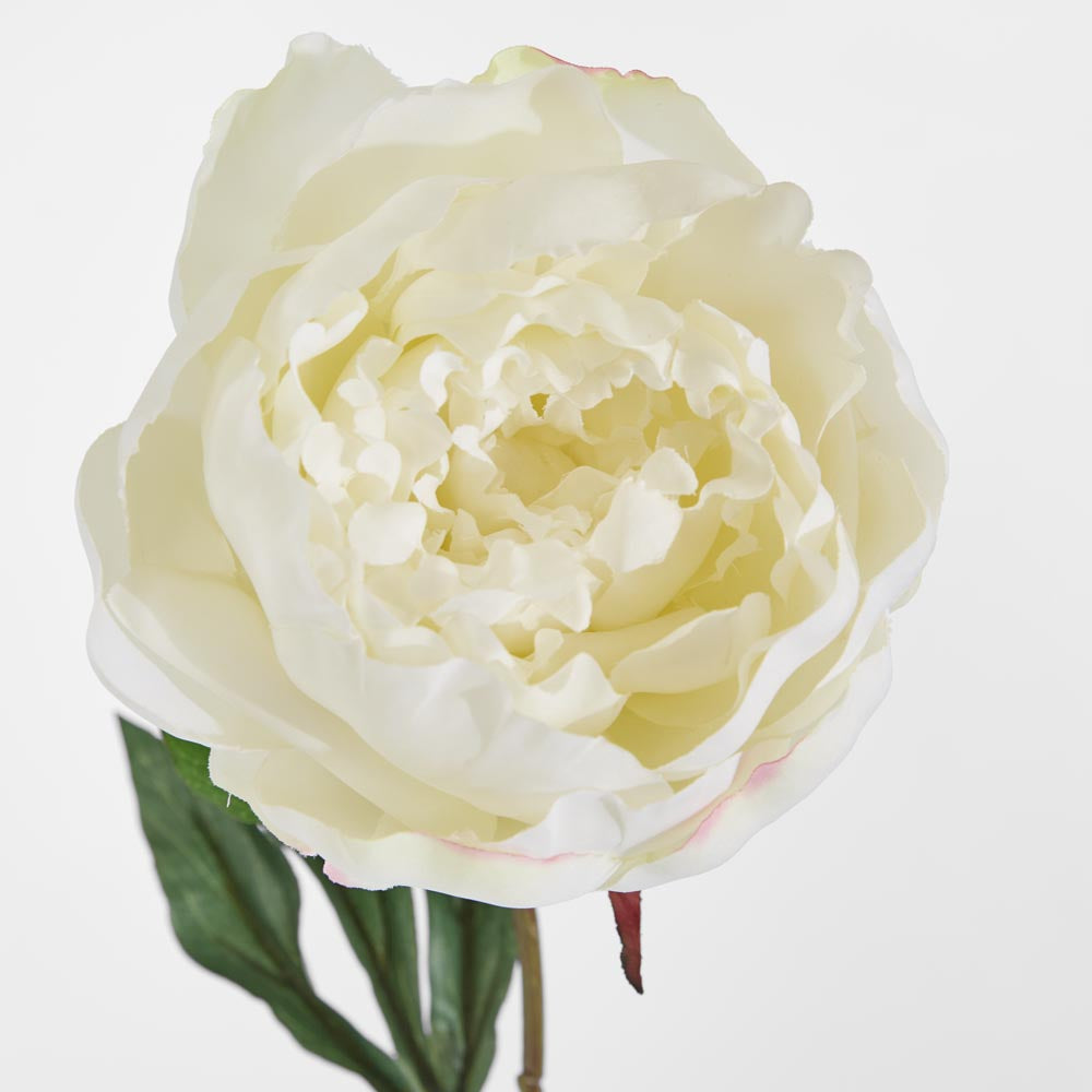 Peony Half Open 70cm White
