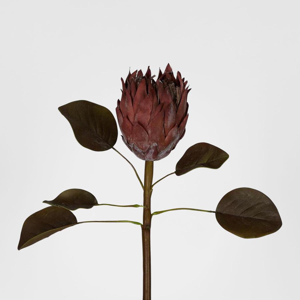 Dried Look Protea Stem with Leaves 60cm Brown 6 pcs