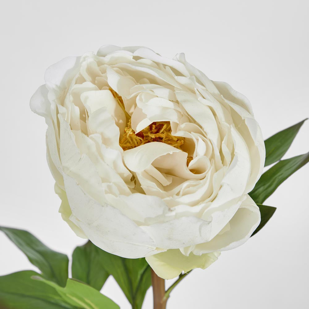 Peony Flower Real Touch Stem White Large 6 pcs