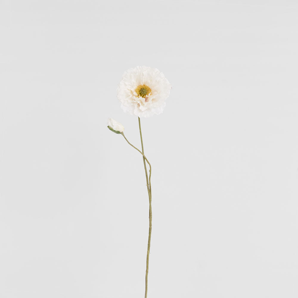 Poppy Stem 75cm White 6 pcs