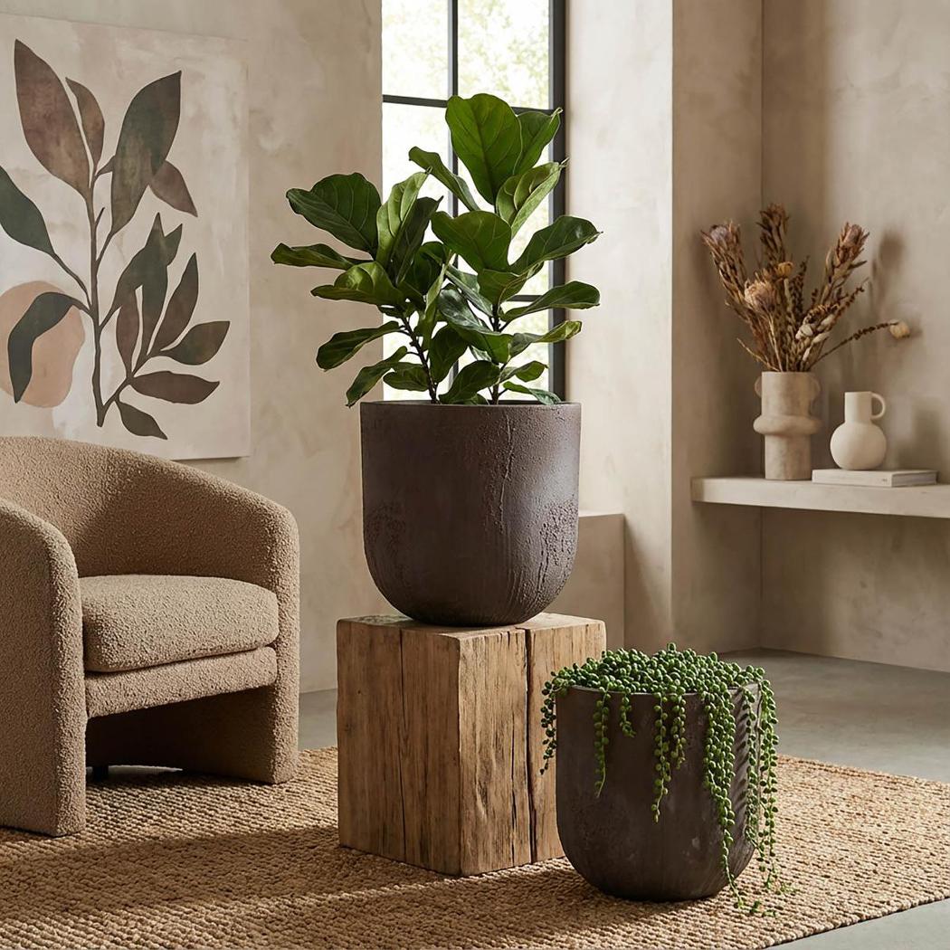 Oyster Lava Planter Large Brown